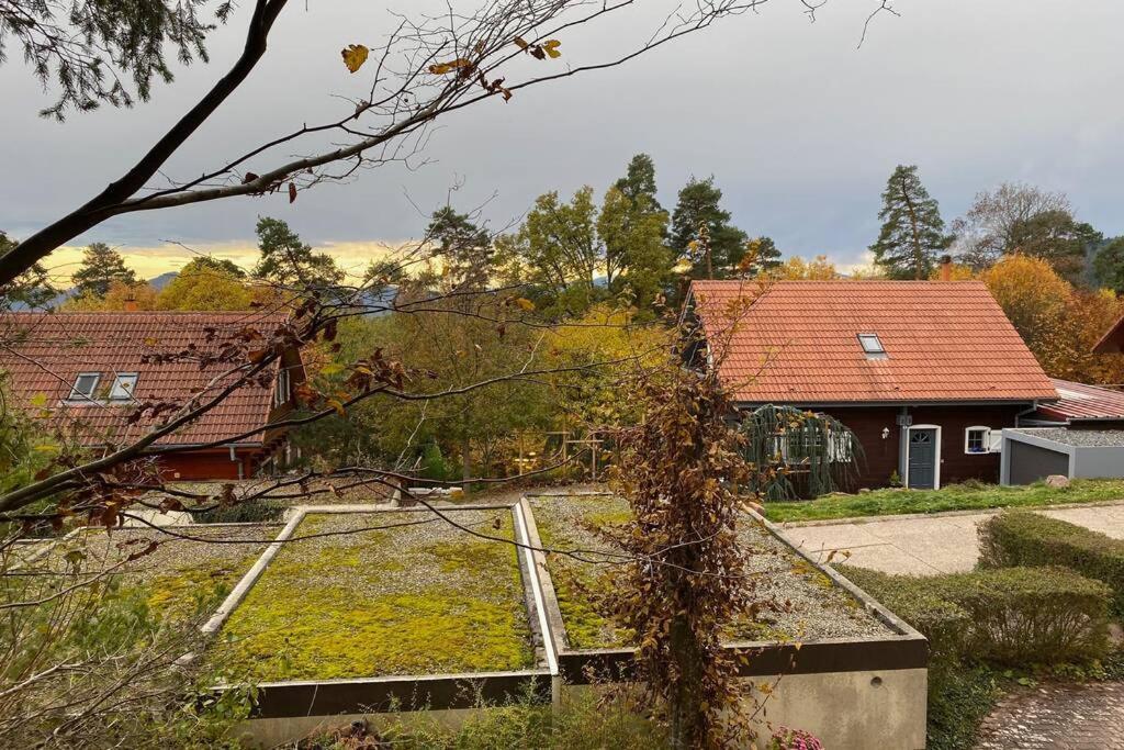 Le Galtz - Gites Marck Ammerschwihr Exterior photo